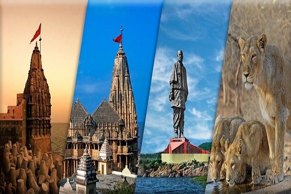 Gujrat Tour 